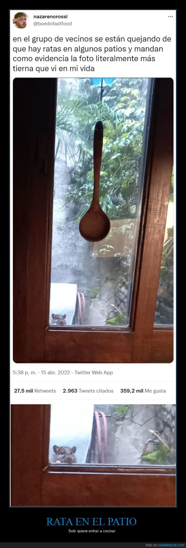 rata patio,vecinos