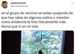 Enlace a La foto de la evidencia