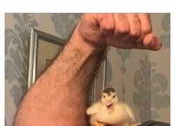 Enlace a Imágenes que merecen ser vistas al menos una vez en la vida