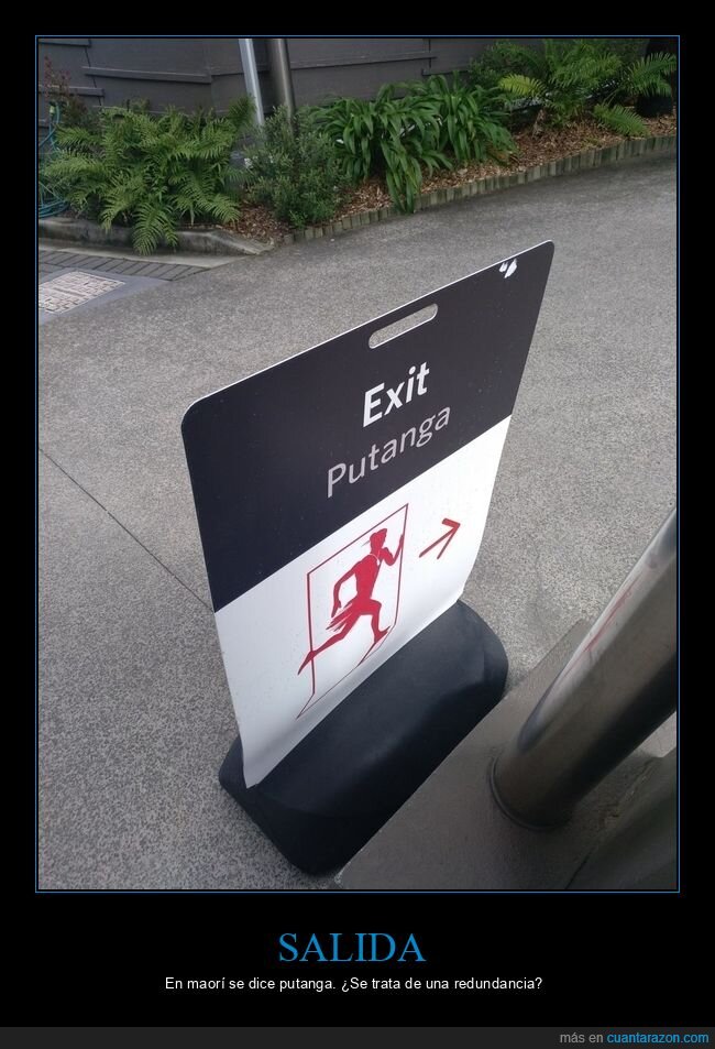 salida,maorí,putanga