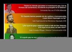 Enlace a Homofobia made in Vox