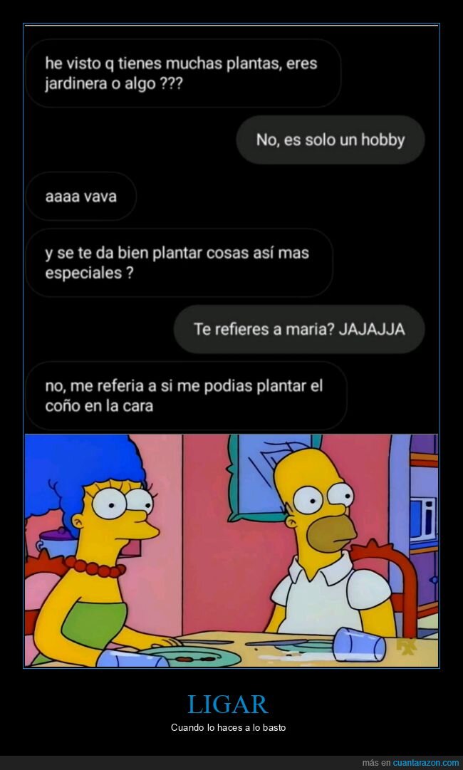 plantas,plantar,ligar
