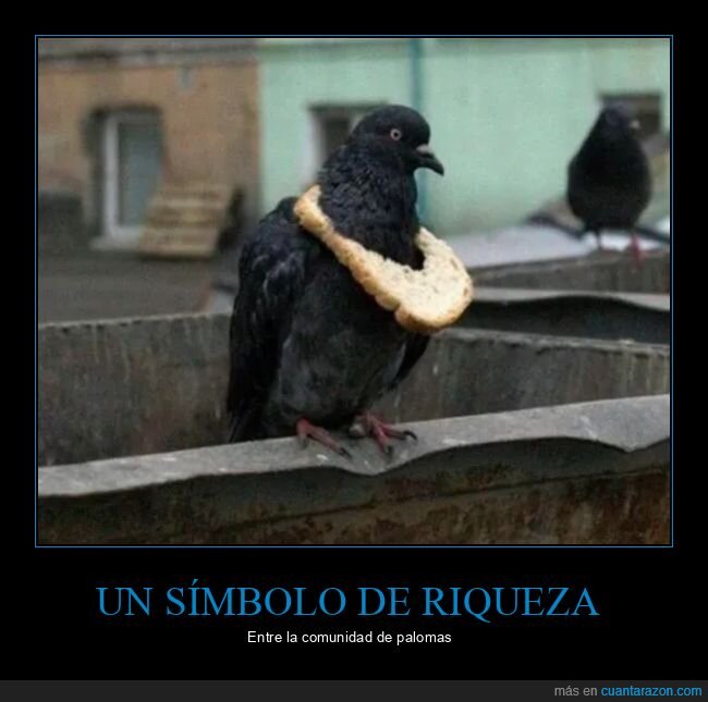 collar,palomas,pan,riqueza,símbolo,wtf