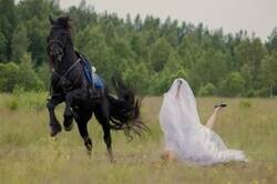 Enlace a Ha quedado genial, hacemos otra por si acaso