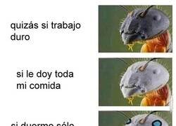 Enlace a No somos tan distintos después de todo
