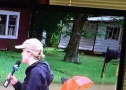 Enlace a Disfrutando de la inundación