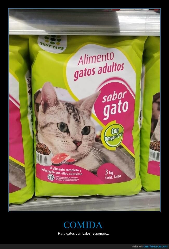 comida,gatos,sabor