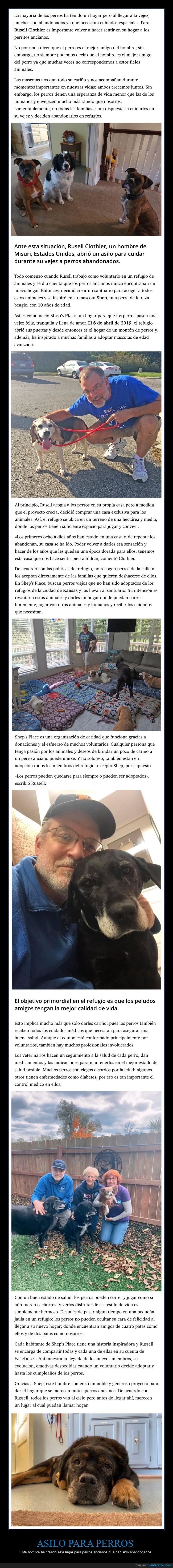 rusell clothier,asilo,perros,ancianos