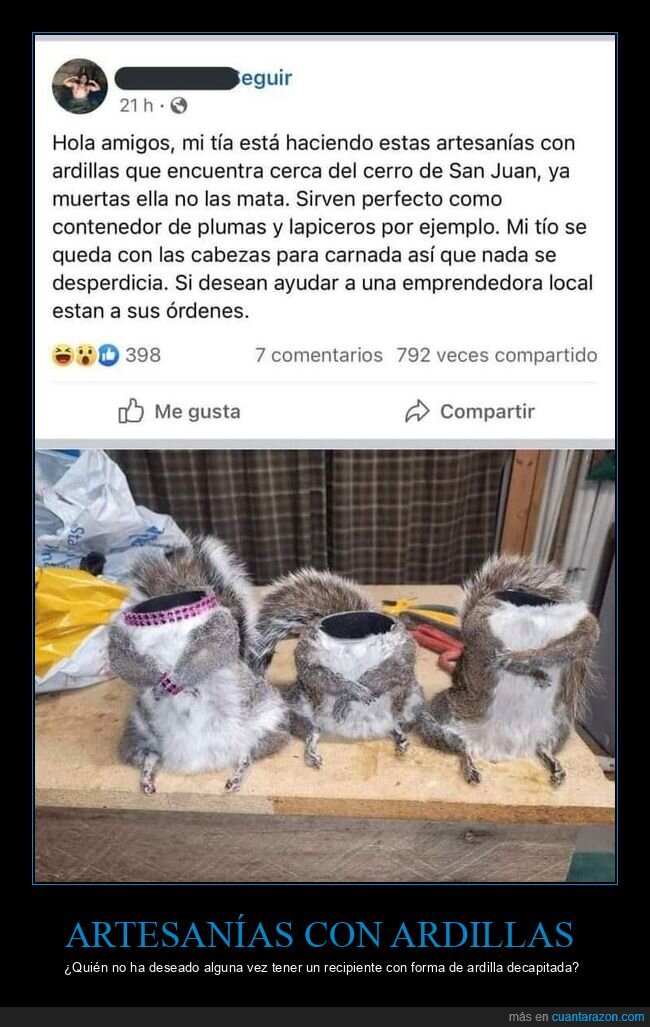 ardillas,recipientes,wtf