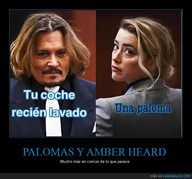 johnny depp,amber heard,coche,lavado,paloma,cagar