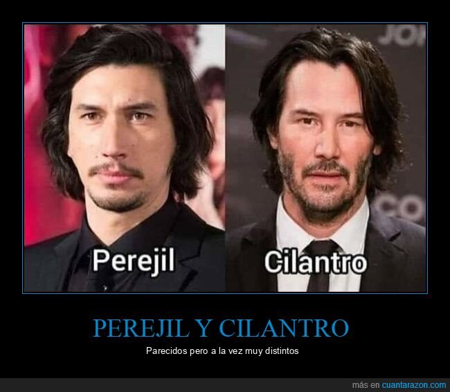 perejil,cilantro,adam driver,keanu reeves