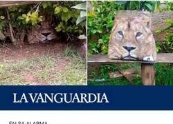 Enlace a León escondido