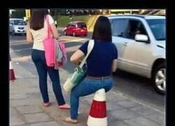 Enlace a Soltería prolongada