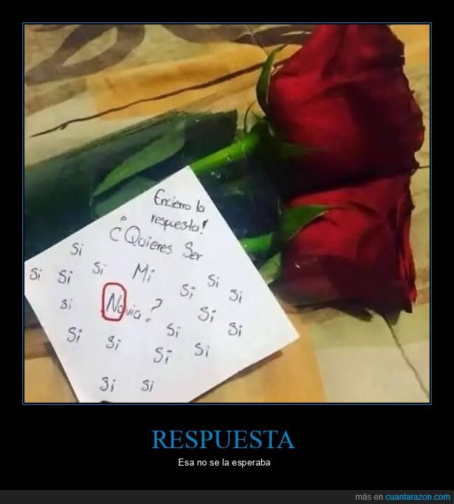 flores,no,novia