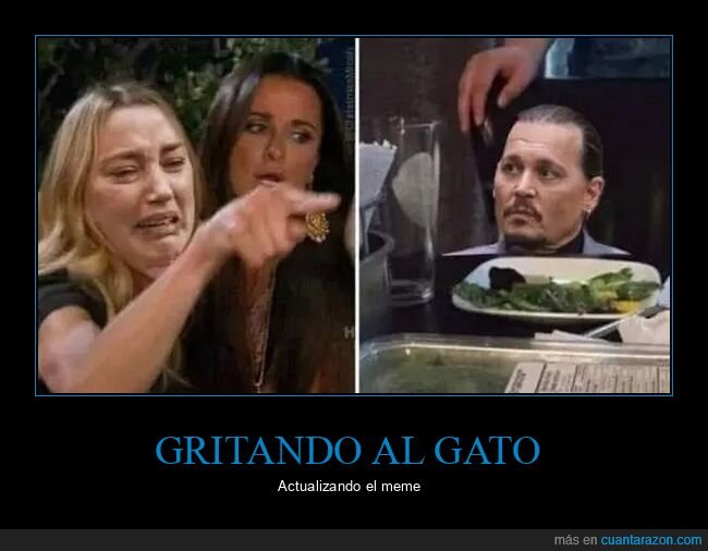 amber heard,gritando al gato,johnny depp