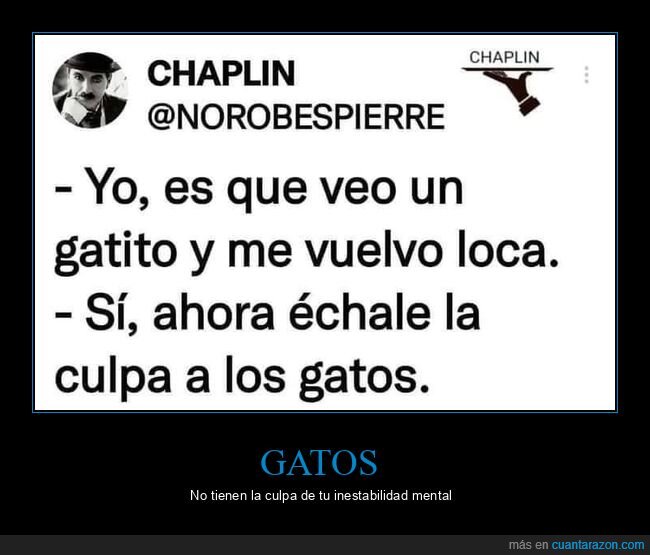 gato,loca,culpa
