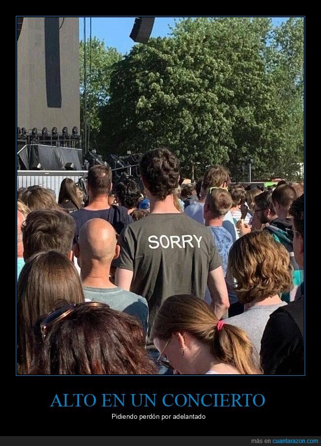 alto,camiseta,perdón,concierto