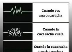 Enlace a Momentos de tensión