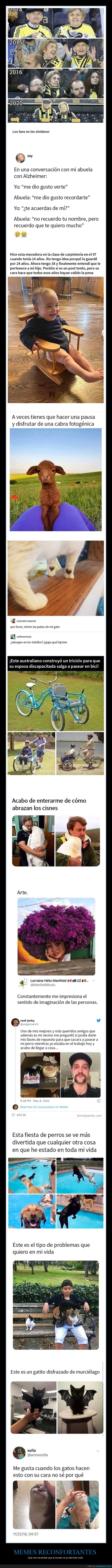 memes reconfortantes