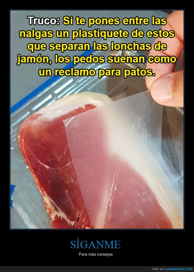 truco,plástico,jamón,culo,reclamo para patos