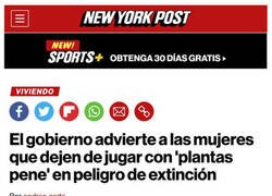 Enlace a Mientras tanto, en Camboya...