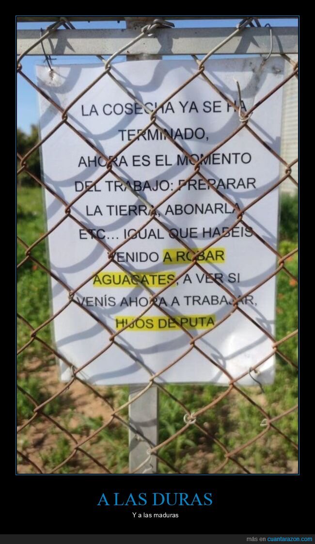 cartel,robar,aguacates