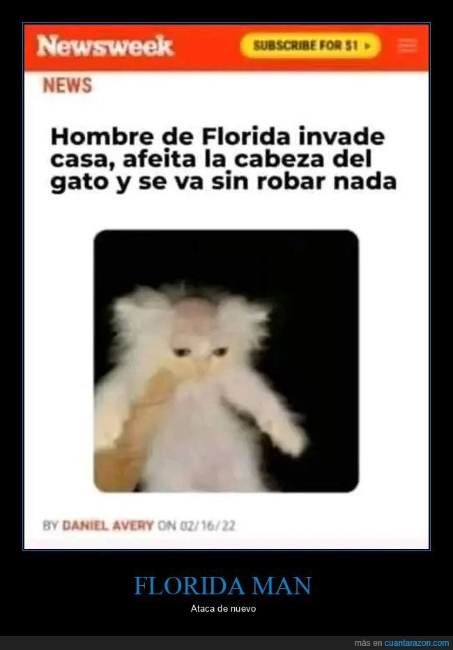 afeitar,casa,florida man,gato,robar,wtf