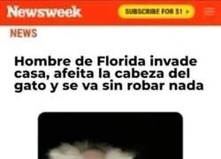 Enlace a ¿Por qué?