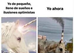 Enlace a La vida no resultó como se esperaba