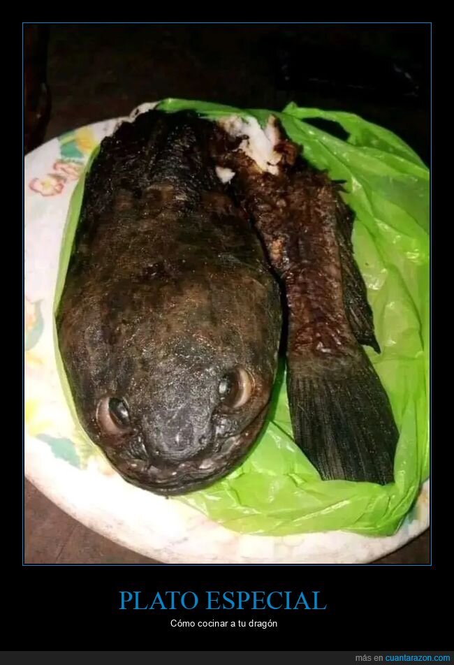 cocinar,dragón,parecidos