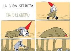 Enlace a David el troll