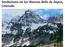 Enlace a A este gato naranja le encanta vivir todo tipo de aventuras