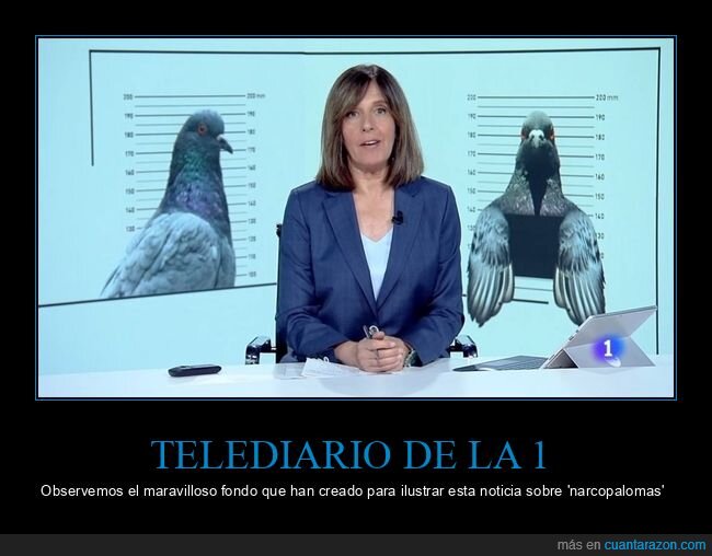 telediario,fondo,narcopalomas