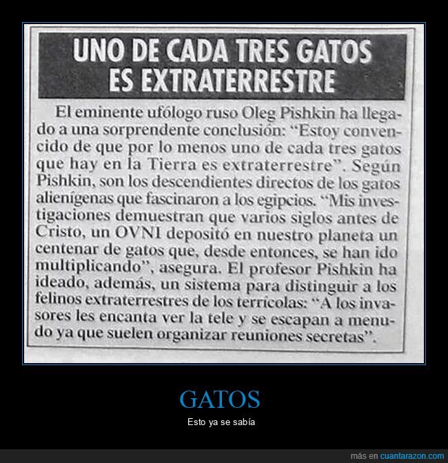 gatos,extraterrestres