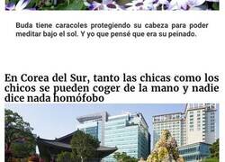 Enlace a Datos divertidos que quizás no sabías sobre estas culturas y religiones