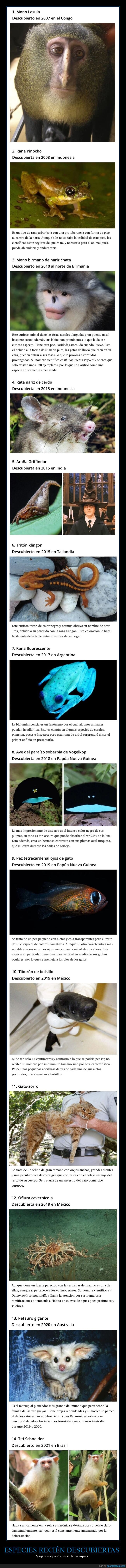 animales,especies,descubiertas
