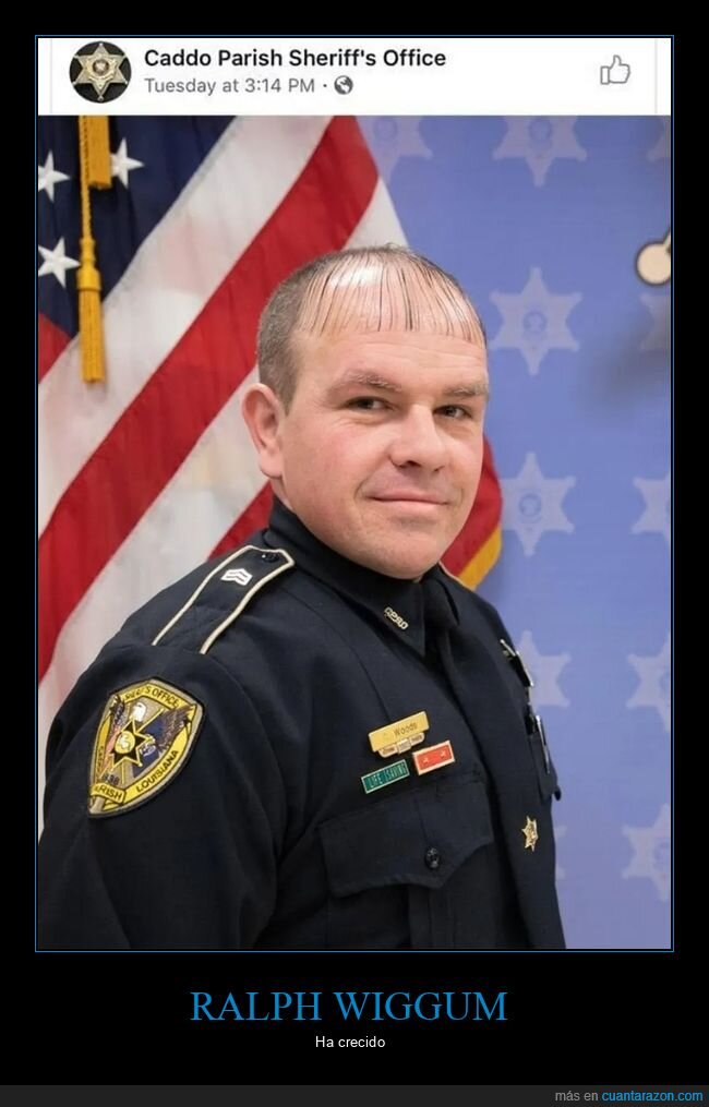 corte de pelo,parecidos,ralph wiggum,simpsons