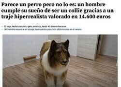 Enlace a Un sueño cumplido