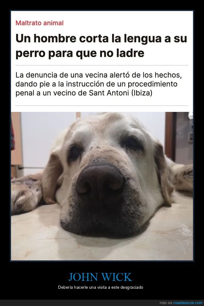 cortar,lengua,perros