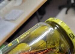 Enlace a Este bote trae premio