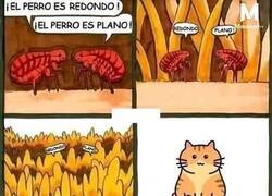 Enlace a Puntos de vista opuestos