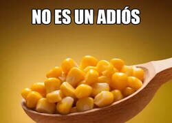 Enlace a Nos volveremos a ver