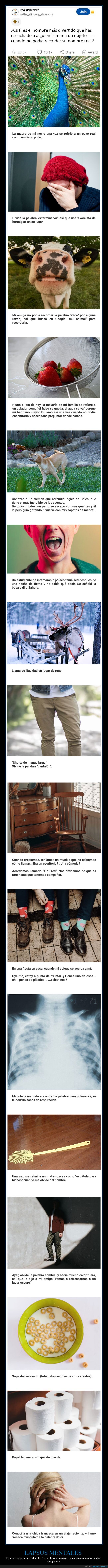 lapsus mentales,recordar,nombres,inventar