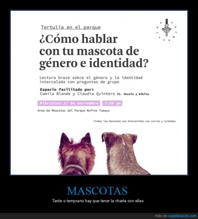 mascota,género,identidad,hablar