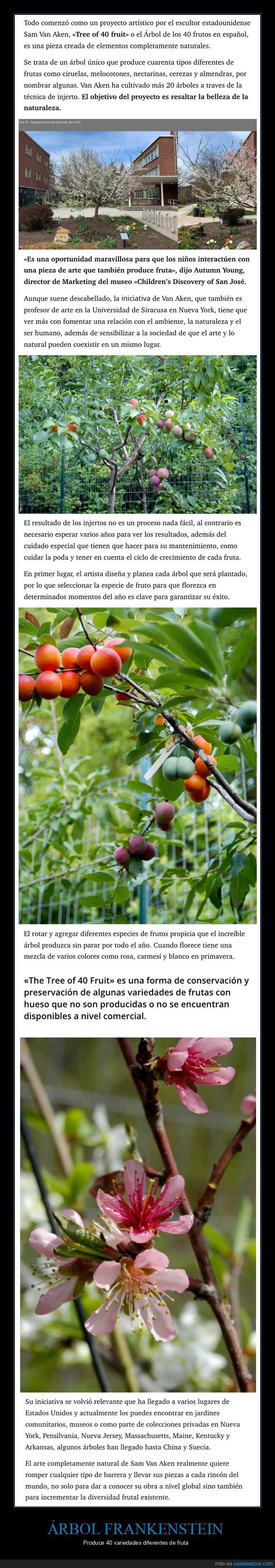 árbol,frankenstein,fruta