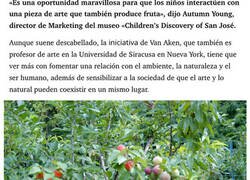 Enlace a Este árbol produce 40 variedades de fruta, lo conocen como Frankenstein