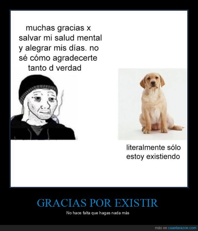 perros,salud mental,existir