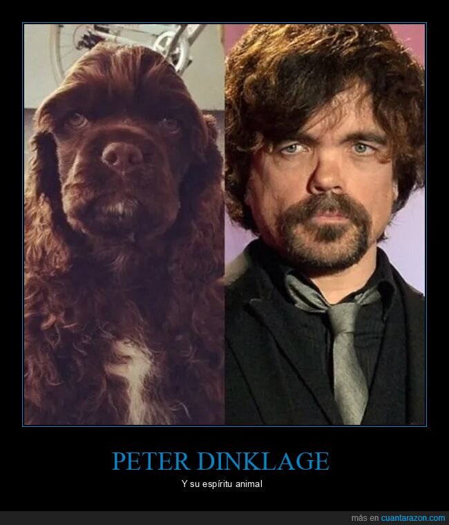 parecidos,perros,peter dinklage