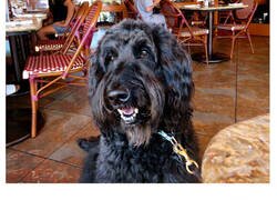 Enlace a La gente adora a este hombre teniendo la cena más dulce con su perro