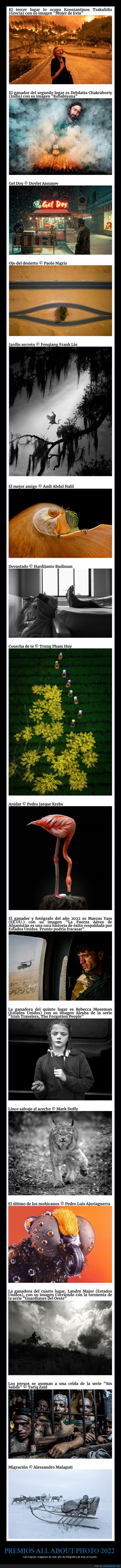 premios all about photo 2022,concurso,fotografía